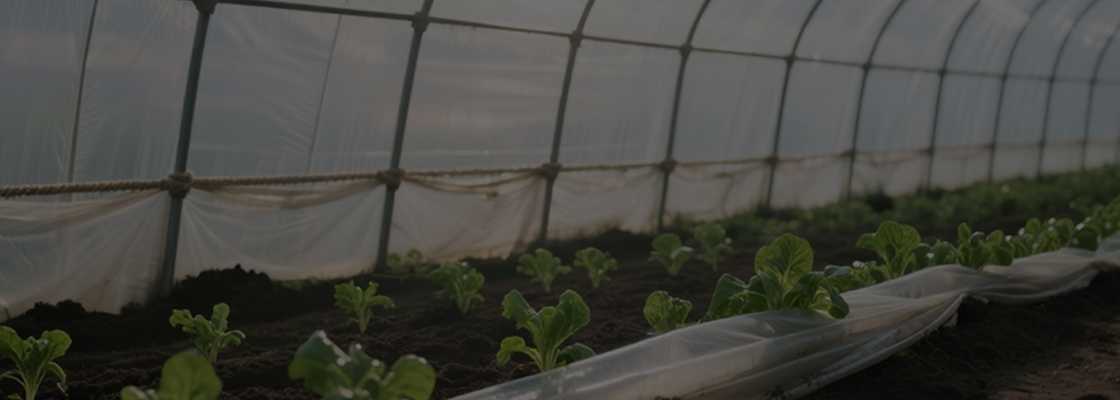 Päivittäiseen käyttöön tarkoitettuja kemikaaleja